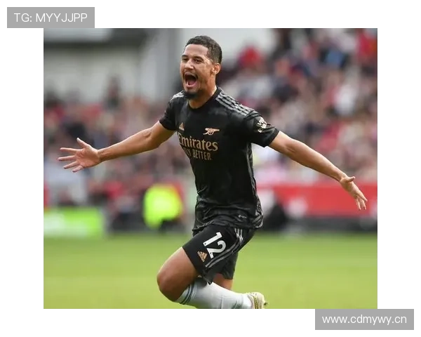 威廉·萨利巴18岁法甲首秀表现解析