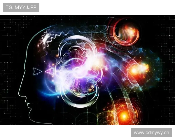 巴尔科拉未来上限高度 核心决定因素深度解析